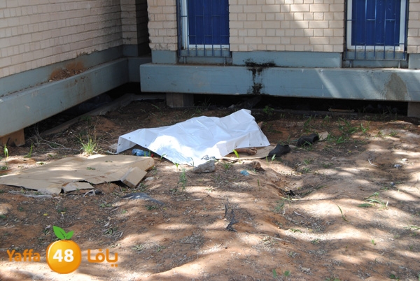 jotha dead yaffa 701 (3).JPG